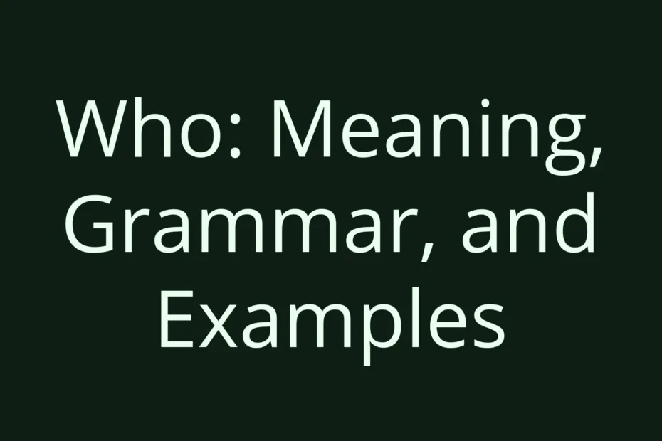 Who Meaning Grammar And Examples