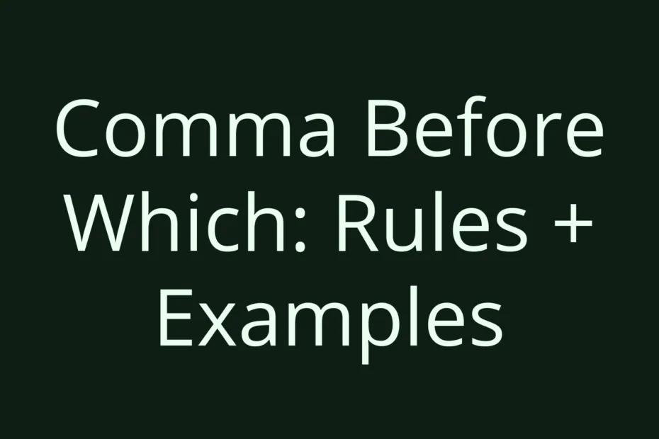 Comma Before Which Rules Examples